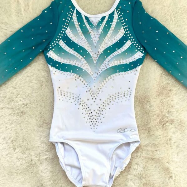 Justaucorps de gym compétition manches longues RC Leotard